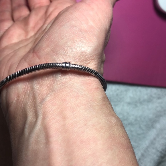 NWOT in Box Authentic Pandora Charm Bracelet - Picture 9 of 10